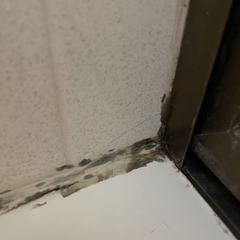 Westside Home Inspections - Mold - Home Inspectors Near Me - Santa Monica, California