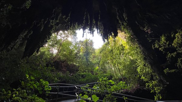 Parque Nacional de las Cavernas del Río Camuy by null