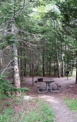 Seawall Campground by null