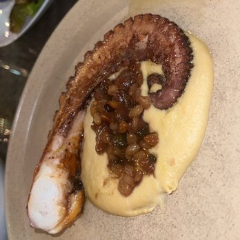Casa Pernoi - Octopus - Italian Near Me - Birmingham, Michigan Casa Pernoi - Octopus - Italian Near Me - Birmingham, Michigan