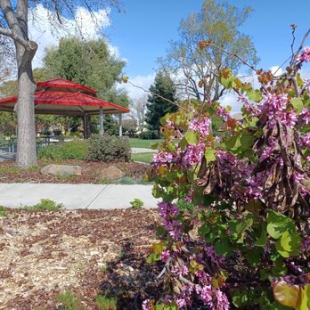 Greenwood Park - Parks Near Me - Hayward, California