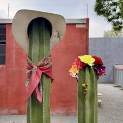 Museo Casa Estudio Diego Rivera - Cactus photo op :)