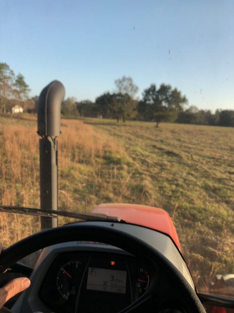 Seal Tree And Stump Removal - tree service in Gulfport, MS