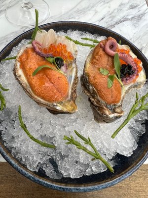Crudo Ceviche & Oyster Bar by null