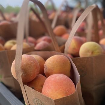 Carter Mountain Orchard - Pick Your Own Farms Near Me - Charlottesville, Virginia