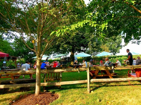 McCall Wines by null