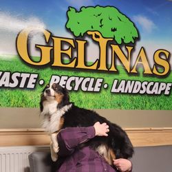 Gelinas Lawn Maintenance