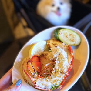 Bay Area To Do List?