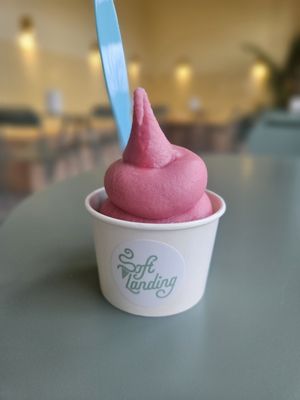 Soft Landing soft serve by null