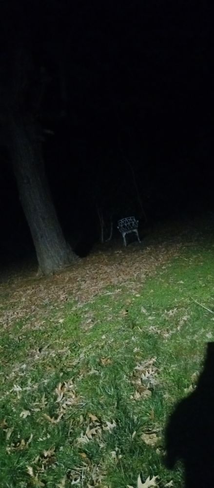 Haunted Hillsborough Tours
