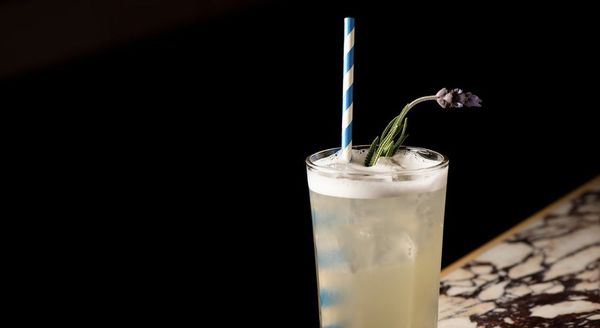 The Little Friend by null