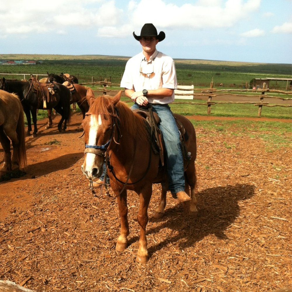 Stables At Koele - Horseback Riding Near Me - Lanai City, Hawaii Stables At Koele - Horseback Riding Near Me - Lanai City, Hawaii