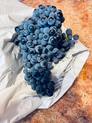 Elleary Wine Tasting Room by null