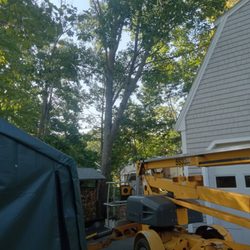 Top Cutt Tree Service