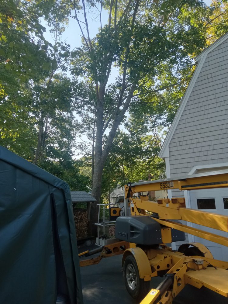 Top Cutt Tree Service - tree service in Biddeford, ME