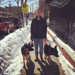 Strut Your Pup - Walking Ava & Gypsy