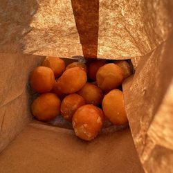 Donut Hut - Donut holes