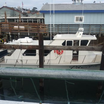 Discovery Whale Watch - Whale Watching Tours Near Me - Monterey, California