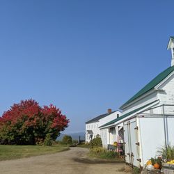 Surowiec Farms