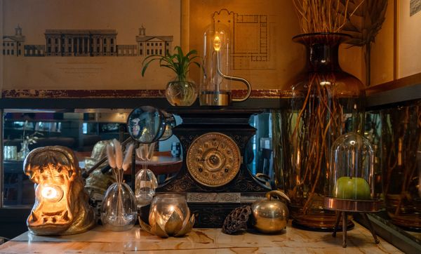 The Fly Trap by null