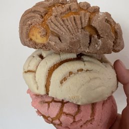 Conchas Conchas