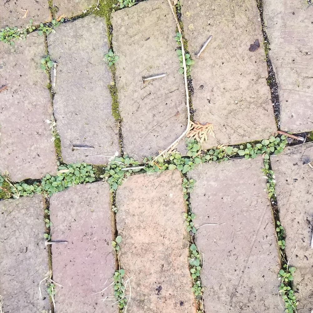 New American Home Improvement - Pathway littered with nails. - Roofing Near Me - McHenry, Illinois