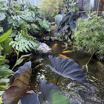 The Woods - Cannabis Dispensaries Near Me - West Hollywood, California The Woods - Cannabis Dispensaries Near Me - West Hollywood, California