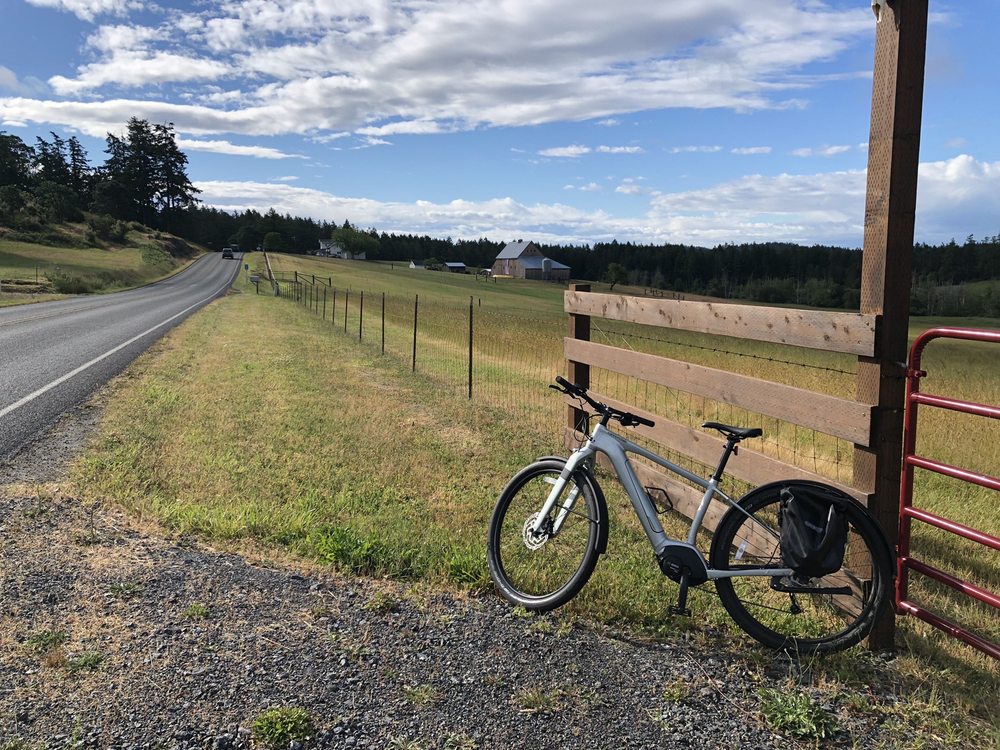 MEAT MACHINE CYCLES Updated September 2024 12 Photos & 29 Reviews