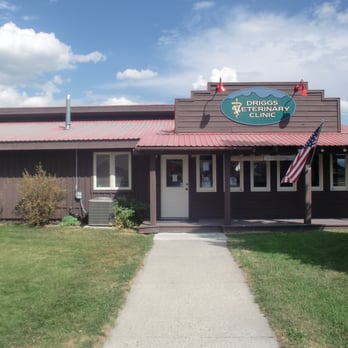 Driggs Veterinary Clinic - Driggs Veterinary Clinic - Veterinarians Near Me - Driggs, Idaho Driggs Veterinary Clinic - Driggs Veterinary Clinic - Veterinarians Near Me - Driggs, Idaho