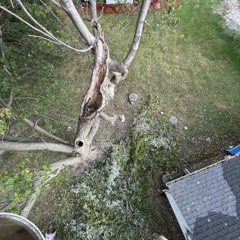 Huckstep Tree Service - Tree Services Near Me