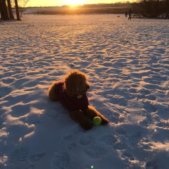 Airport Dog Park - Beautiful view on a winter day at the park. - Dog Parks Near Me - Minneapolis, Minnesota