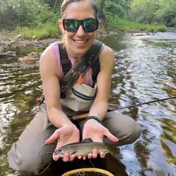Trout fish in stream