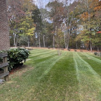 Southern View Landscaping - Lawn Cut with Stripes - Lawn Services Near Me Southern View Landscaping - Lawn Cut with Stripes - Lawn Services Near Me