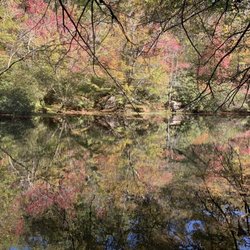Cumberland Mountain State Park - Fall Foliage