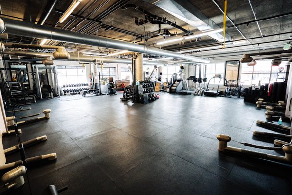 Endorphin - City Park