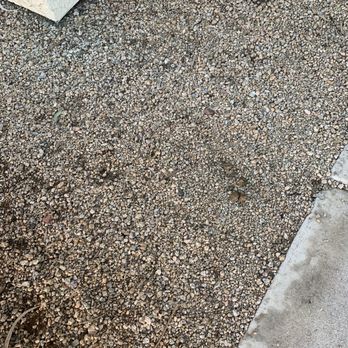 Motif - The pebble rocks and dog poop. Piles of poop are everywhere. - Apartments Near Me - Phoenix, Arizona Motif - The pebble rocks and dog poop. Piles of poop are everywhere. - Apartments Near Me - Phoenix, Arizona
