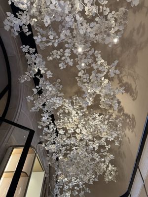 L'Orangerie by null