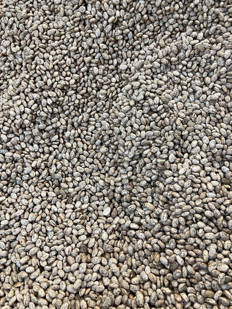 VIDAL PRODUCE Updated August 2024 13 Photos 2401 E 27th St