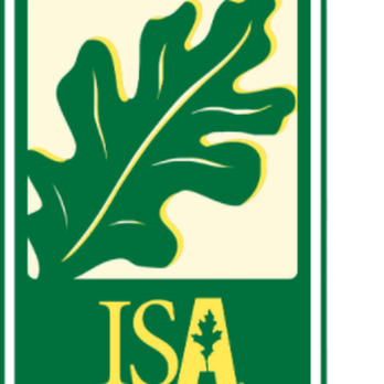 Southeast Arborist - Tree Services Near Me Southeast Arborist - Tree Services Near Me