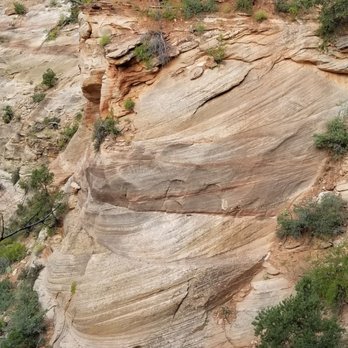 Canyon Overlook Trail - A view of the canyon - Hiking Near Me - Springdale, Utah