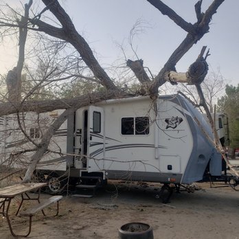 Shady Oasis Kampground - Dead tree on trailer - Campgrounds Near Me - Victorville, California
