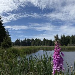 Bandon Crossings Golf Course