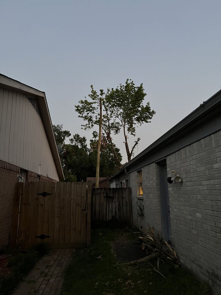 Quality Tree Service and Landscaping - tree service in Houston, TX