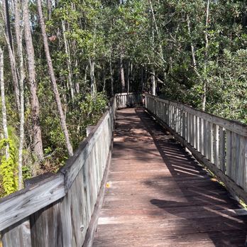 Tibet-Butler Preserve - Walking trail - Parks Near Me - Orlando, Florida Tibet-Butler Preserve - Walking trail - Parks Near Me - Orlando, Florida