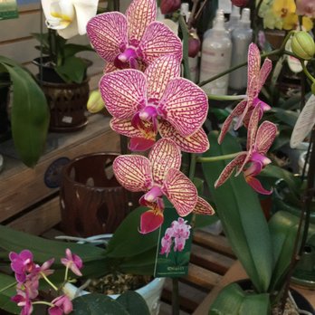 GardenWorks - Nurseries & Gardening Near Me - Burnaby, British Columbia