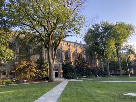 University of Michigan by null