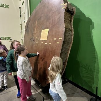 Indiana Dinosaur Museum - Children's Museums Near Me - South Bend, Indiana