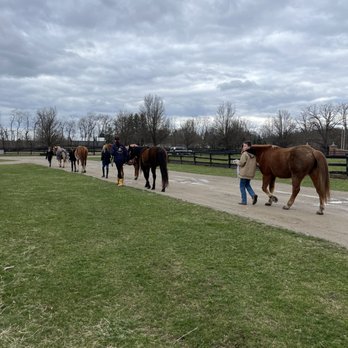 Windmill Farm - Horseback Riding Near Me - Highland, Michigan