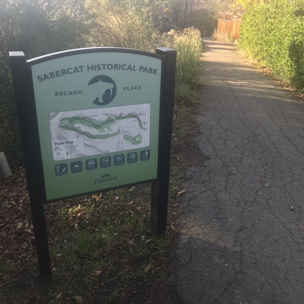 Sabercat Creek Trail - Parks Near Me - Fremont, California Sabercat Creek Trail - Parks Near Me - Fremont, California