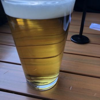 JINYA Ramen Bar - Austin - Sapporo Draft - Ramen Near Me - Austin, Texas